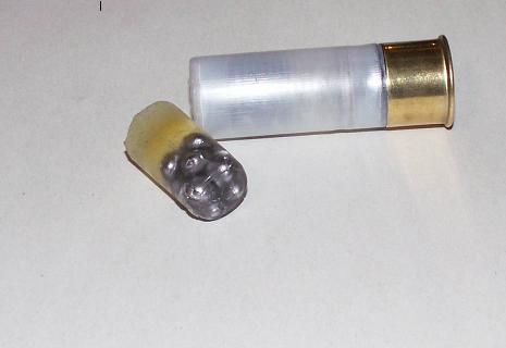 12 Gauge Pre-Fragmented slug, 10 rounds